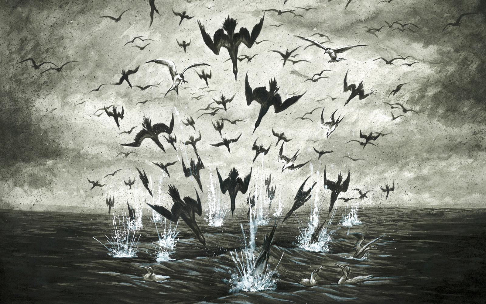 Kevin Walsh - Bird Bomb Illustration