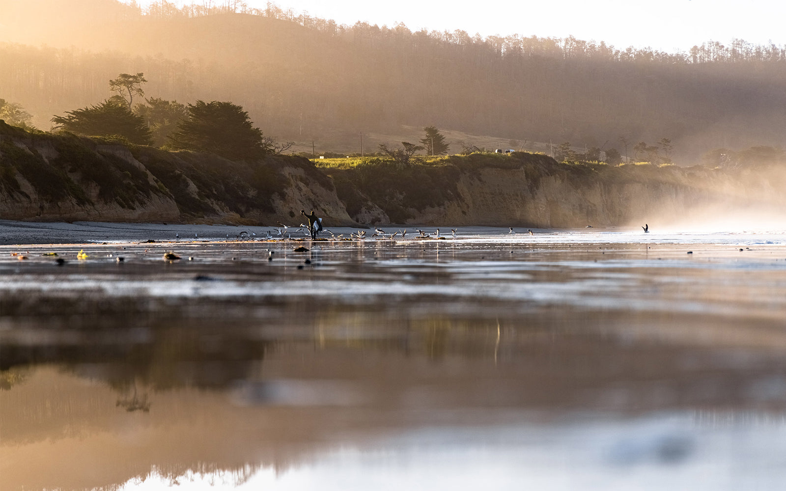 Ano Nuevo Beach